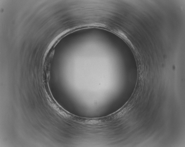 X0000056021140200509021749
