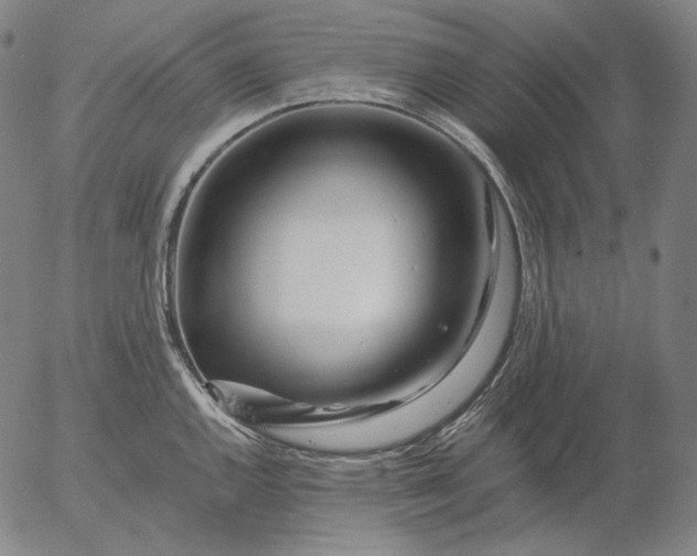 X0000056021144200509021749