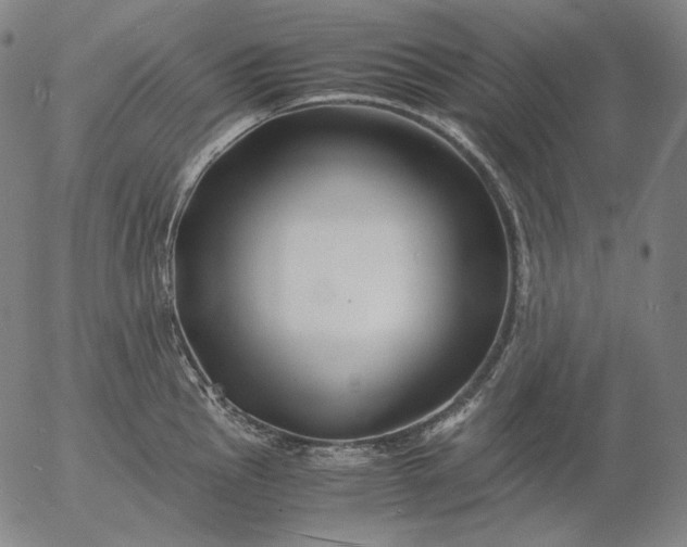 X0000056021145200509021749
