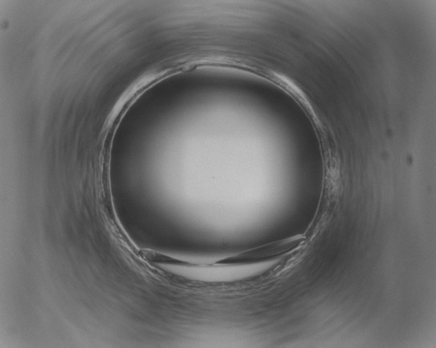 X0000056021146200509021749