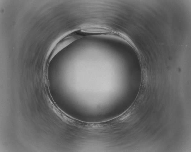 X0000056021148200509021749