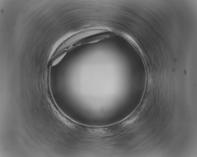 X0000056021149200509021749