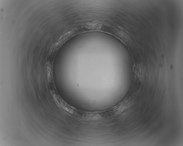 X0000056021154200509021748