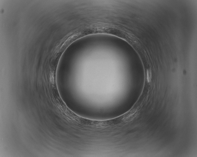 X0000056021155200509021748