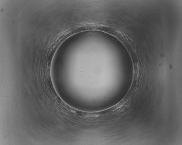 X0000056021157200509021748