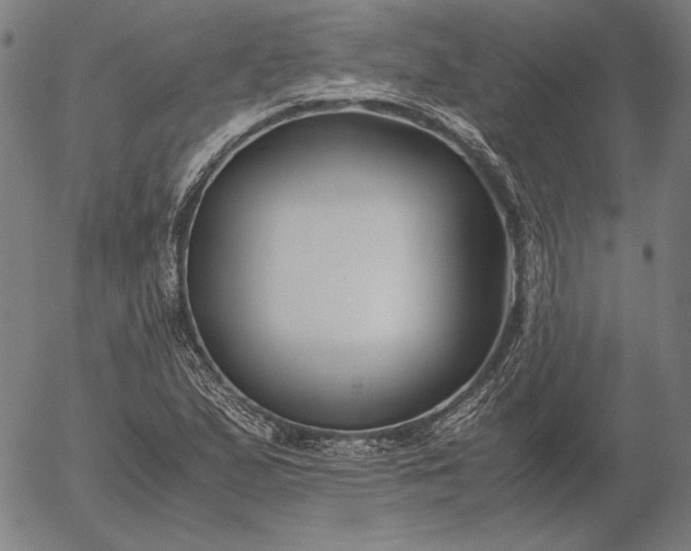 X0000056021167200509021748
