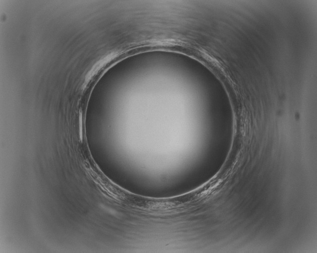 X0000056021171200509021748