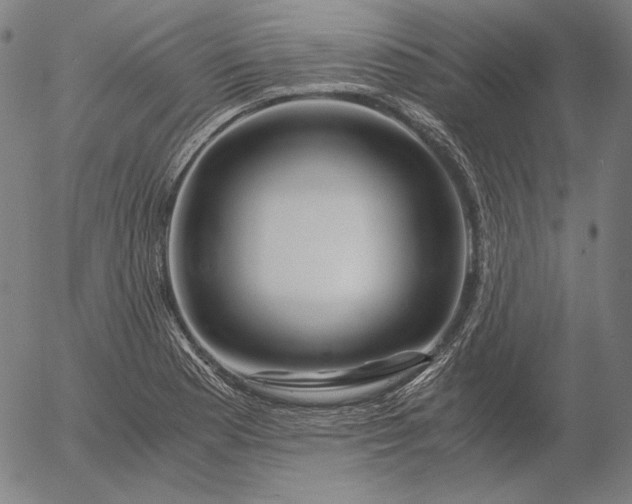 X0000056021177200509021748