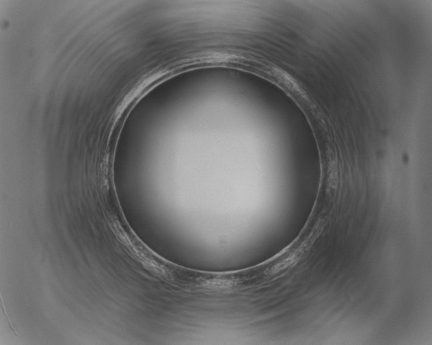 X0000056021178200509021748