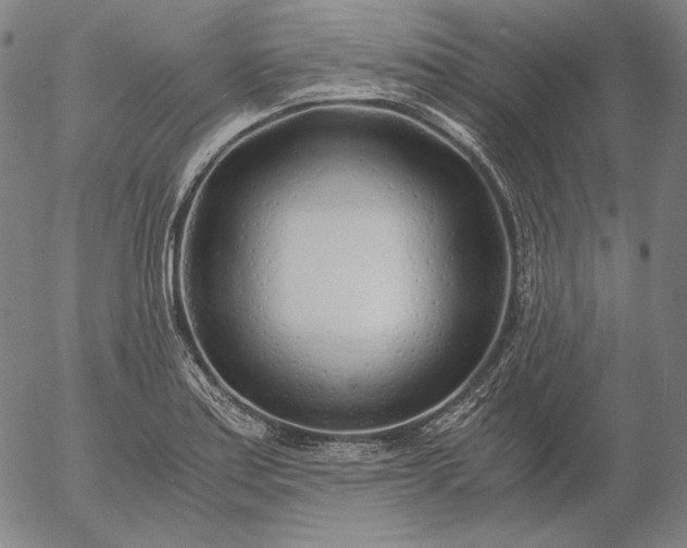 X0000056021179200509021748