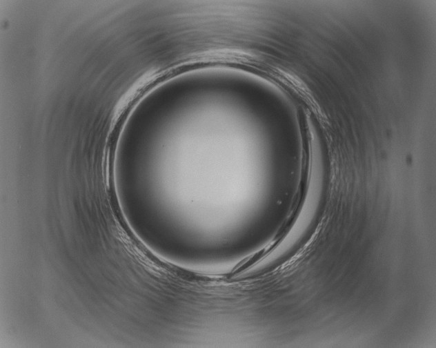 X0000056021180200509021748