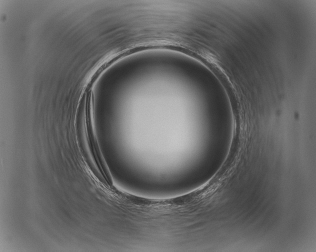 X0000056021181200509021748