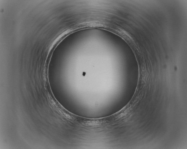 X0000056021182200509021748