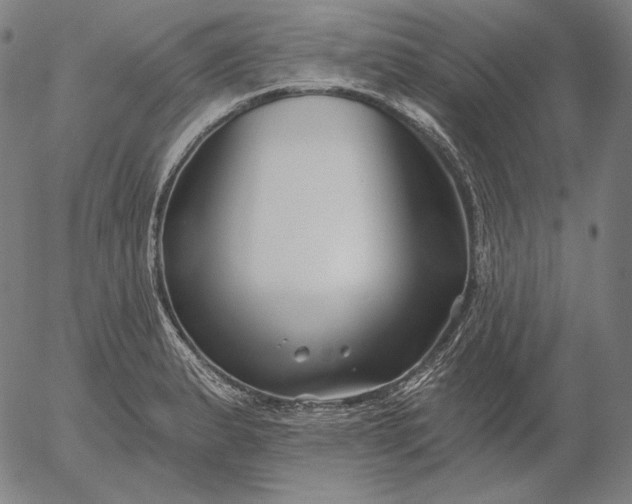 X0000056021183200509021748