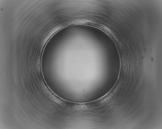 X0000056021186200509021748