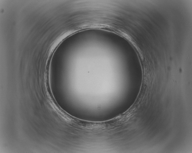 X0000056021187200509021748