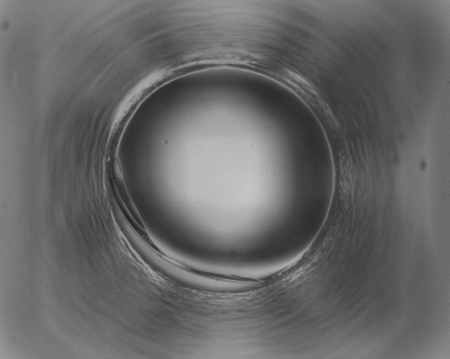 X0000056021188200509021748
