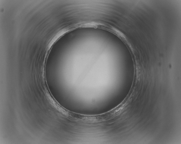 X0000056021194200509021748