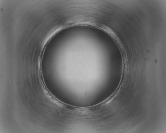 X0000056021198200509021747
