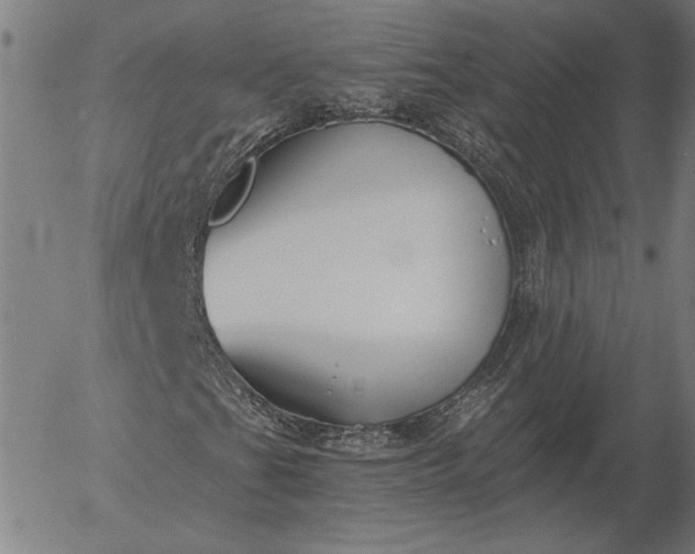 X0000056021201200509021747