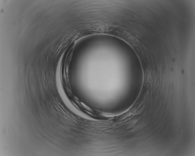 X0000056021202200509021747