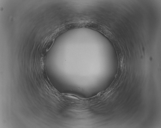 X0000056021204200509021747