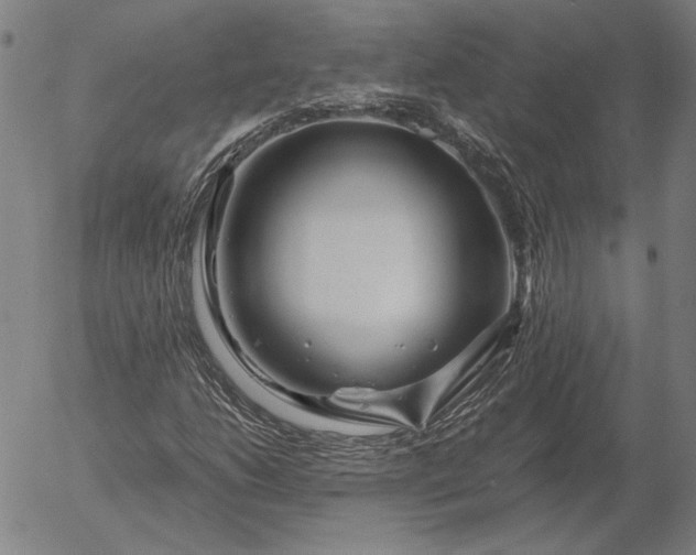 X0000056021206200509021747