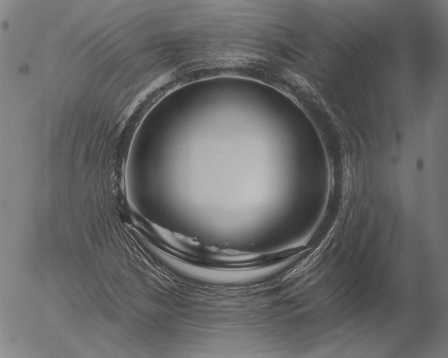 X0000056021210200509021747