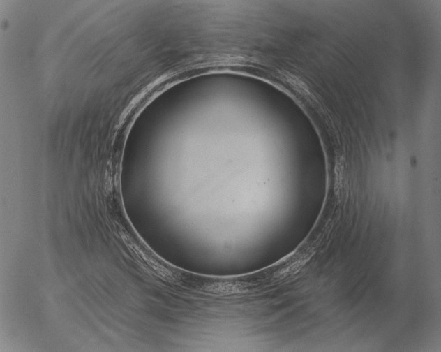 X0000056021212200509021747