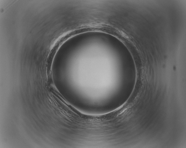 X0000056021214200509021747