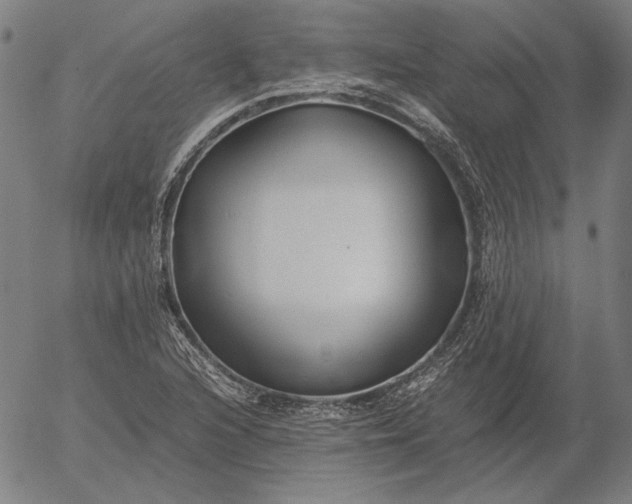 X0000056021216200509021747
