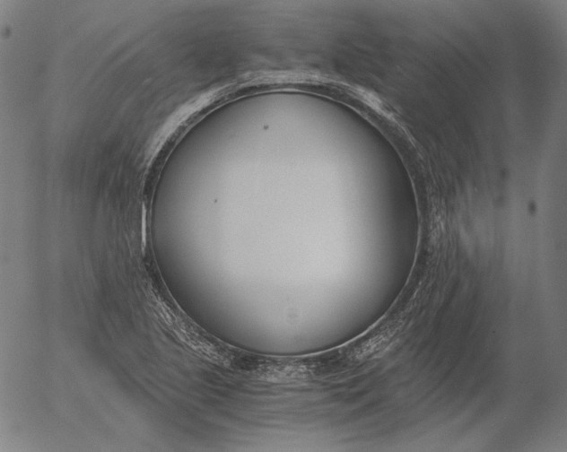 X0000056021221200509021747