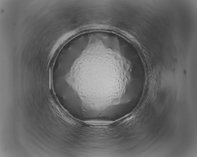 X0000056021223200509021747