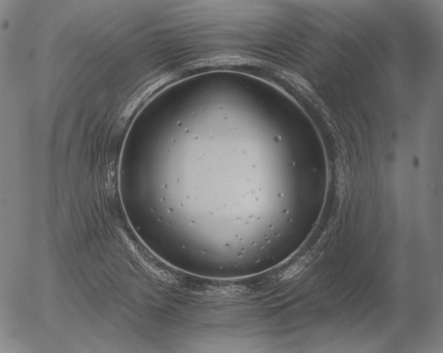 X0000056021225200509021747