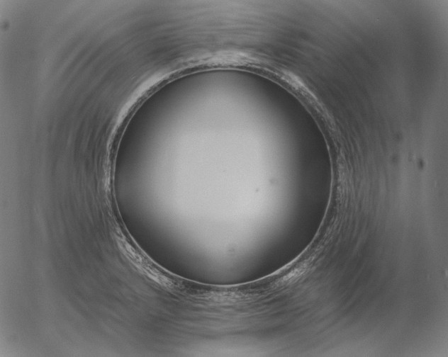 X0000056021232200509021747