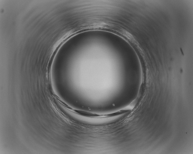X0000056021234200509021747