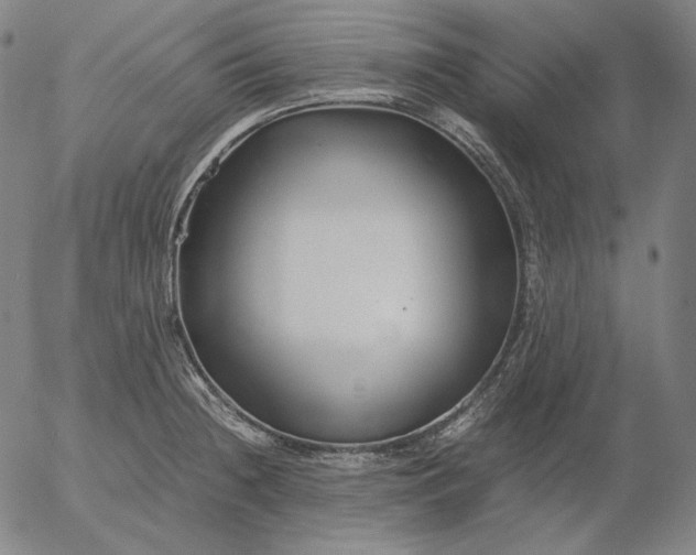 X0000056021236200509021747