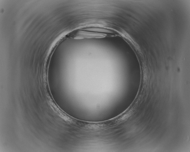 X0000056021240200509021747