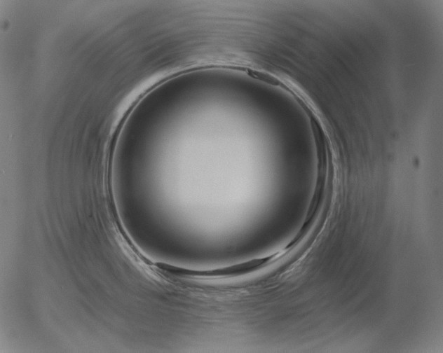 X0000056021246200509021747