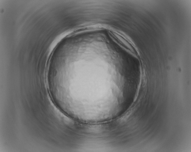 X0000056021247200509021747