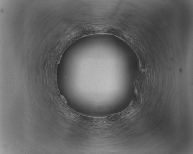 X0000056021249200509021747