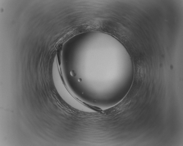 X0000056021250200509021747