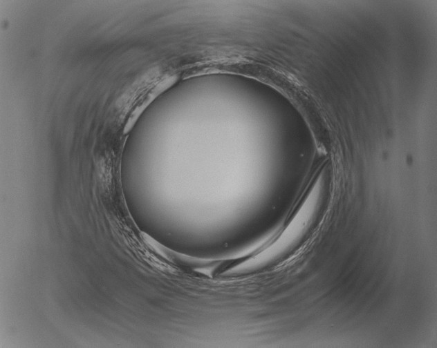 X0000056021257200509021746
