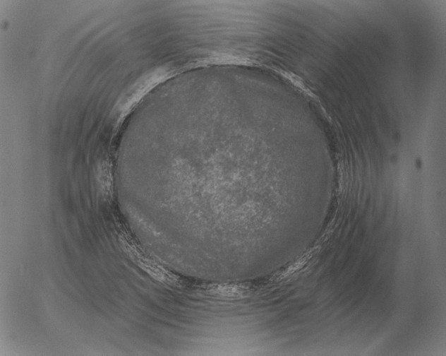 X0000056021266200509021746