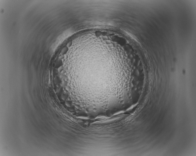 X0000056021267200509021746