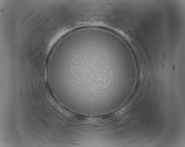 X0000056021271200509021746