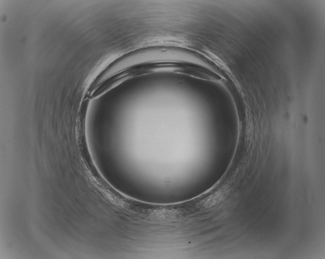 X0000056021277200509021746