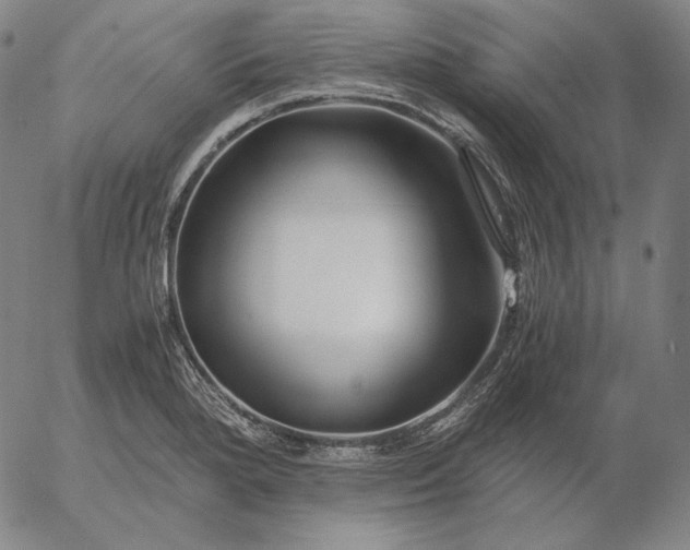 X0000056021280200509021746