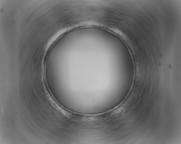 X0000056021286200509021746