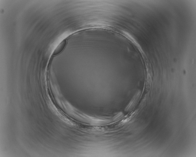 X0000056021291200509021746
